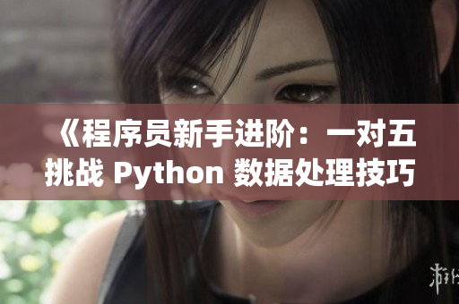 《程序員新手進(jìn)階：一對(duì)五挑戰(zhàn) Python 數(shù)據(jù)處理技巧》