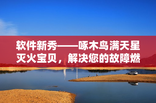 軟件新秀——啄木鳥滿天星滅火寶貝，解決您的故障燃眉之急！