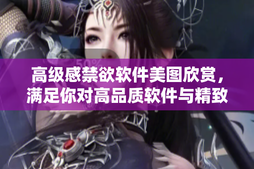 高級感禁欲軟件美圖欣賞，滿足你對高品質軟件與精致美圖的雙重追求！