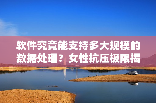 軟件究竟能支持多大規(guī)模的數(shù)據(jù)處理？女性抗壓極限揭秘