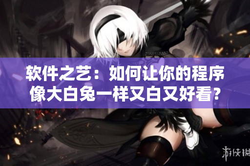 軟件之藝：如何讓你的程序像大白兔一樣又白又好看？