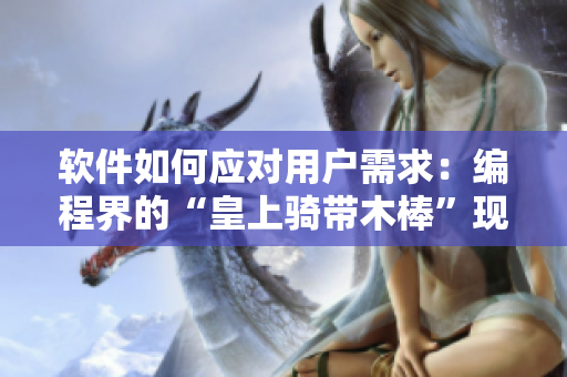 軟件如何應(yīng)對用戶需求：編程界的“皇上騎帶木棒”現(xiàn)象研究