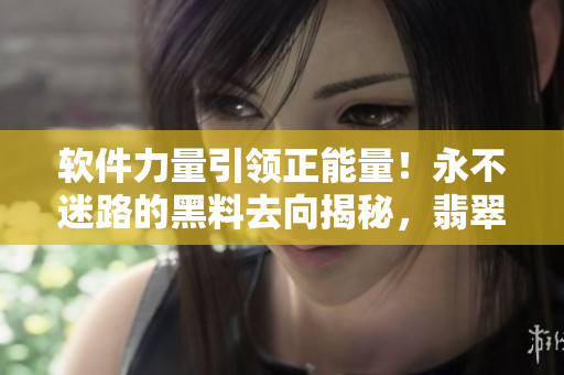 軟件力量引領正能量！永不迷路的黑料去向揭秘，翡翠手鐲全程可追溯