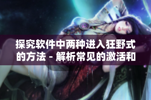 探究軟件中兩種進(jìn)入狂野式的方法 - 解析常見的激活和破解手段