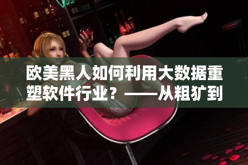 歐美黑人如何利用大數(shù)據(jù)重塑軟件行業(yè)？——從粗獷到智慧的轉變