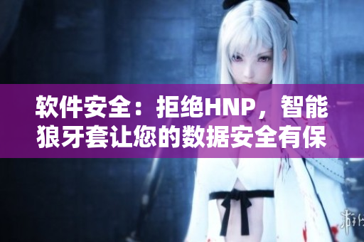 軟件安全：拒絕HNP，智能狼牙套讓您的數(shù)據(jù)安全有保障
