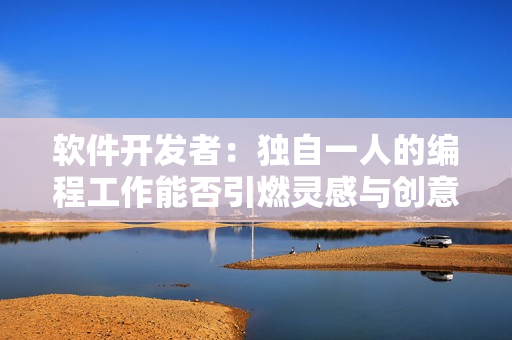 軟件開發(fā)者：獨自一人的編程工作能否引燃靈感與創(chuàng)意？