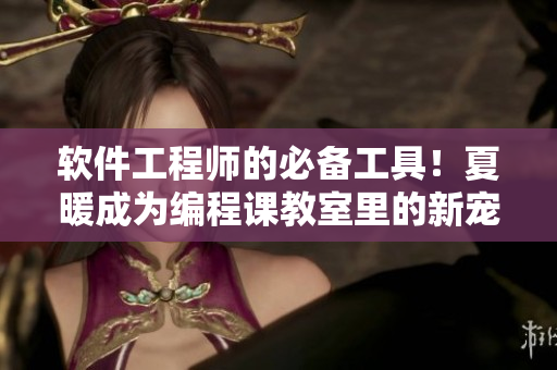 軟件工程師的必備工具！夏暖成為編程課教室里的新寵兒！