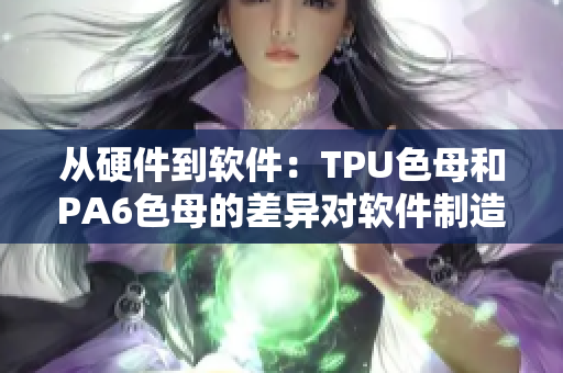 從硬件到軟件：TPU色母和PA6色母的差異對(duì)軟件制造業(yè)的影響