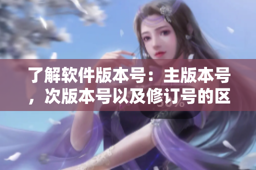 了解軟件版本號：主版本號，次版本號以及修訂號的區(qū)別