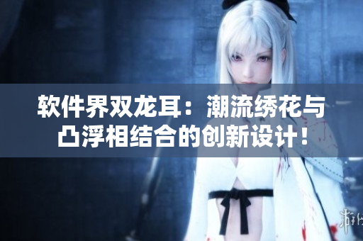 軟件界雙龍耳：潮流繡花與凸浮相結(jié)合的創(chuàng)新設(shè)計(jì)！