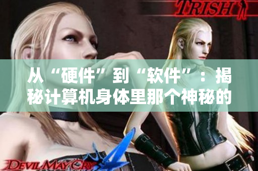 從“硬件”到“軟件”：揭秘計算機(jī)身體里那個神秘的細(xì)胞。