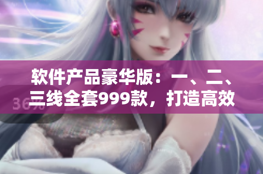 軟件產(chǎn)品豪華版：一、二、三線全套999款，打造高效辦公新體驗