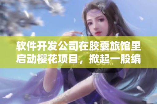 軟件開發(fā)公司在膠囊旅館里啟動櫻花項目，掀起一股編程熱潮