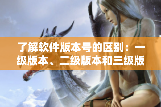 了解軟件版本號的區(qū)別：一級版本、二級版本和三級版本有何不同
