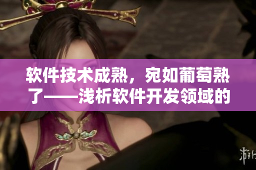 軟件技術(shù)成熟，宛如葡萄熟了——淺析軟件開發(fā)領(lǐng)域的現(xiàn)狀與前景