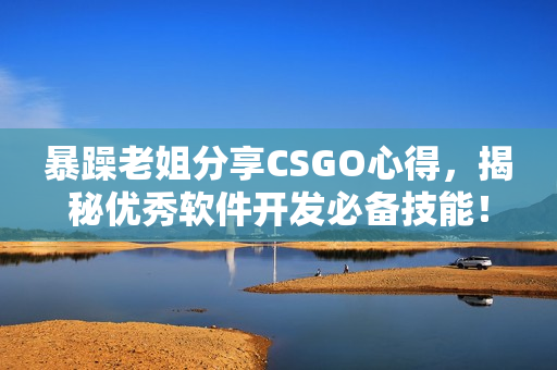 暴躁老姐分享CSGO心得，揭秘優(yōu)秀軟件開發(fā)必備技能！——獨家視頻分享