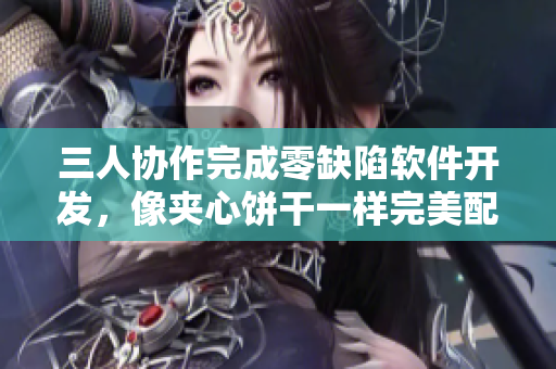 三人協(xié)作完成零缺陷軟件開發(fā)，像夾心餅干一樣完美配合