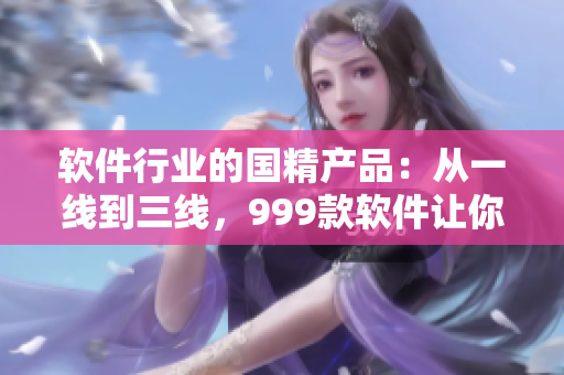 軟件行業(yè)的國(guó)精產(chǎn)品：從一線(xiàn)到三線(xiàn)，999款軟件讓你愛(ài)不釋手