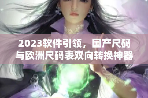 2023軟件引領(lǐng)，國(guó)產(chǎn)尺碼與歐洲尺碼表雙向轉(zhuǎn)換神器誕生