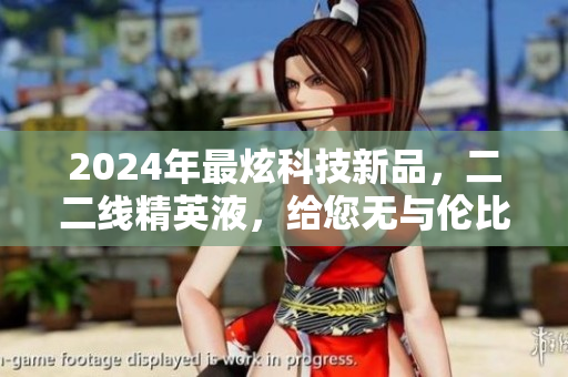 2024年最炫科技新品，二二線精英液，給您無與倫比的軟件體驗！