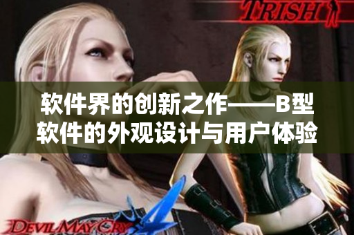 軟件界的創(chuàng)新之作——B型軟件的外觀設計與用戶體驗