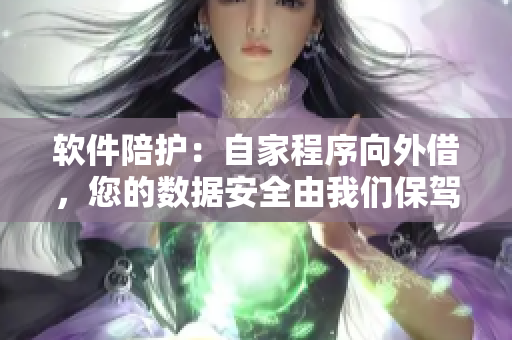 軟件陪護(hù)：自家程序向外借，您的數(shù)據(jù)安全由我們保駕護(hù)航
