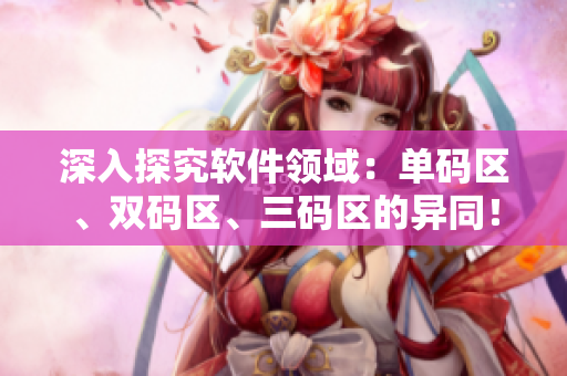 深入探究軟件領(lǐng)域：單碼區(qū)、雙碼區(qū)、三碼區(qū)的異同！