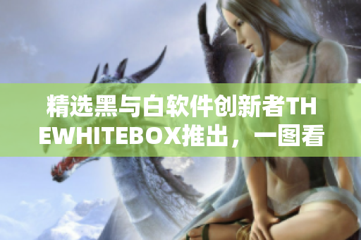 精選黑與白軟件創(chuàng)新者THEWHITEBOX推出，一圖看清軟件生態(tài)！
