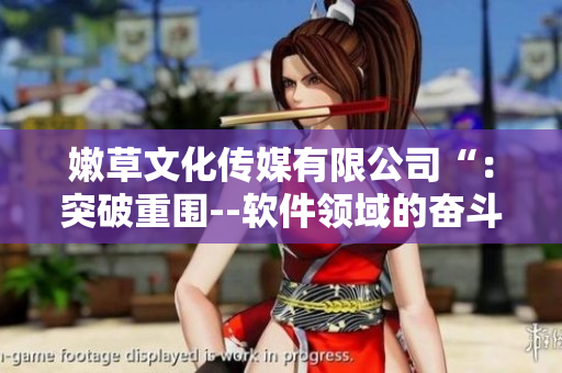 嫩草文化傳媒有限公司“：突破重圍--軟件領(lǐng)域的奮斗歷程