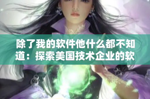 除了我的軟件他什么都不知道：探索美國技術(shù)企業(yè)的軟件生態(tài)