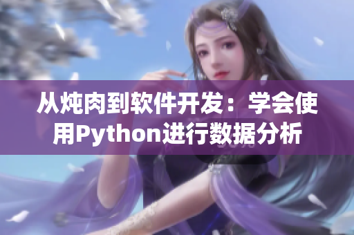 從燉肉到軟件開(kāi)發(fā)：學(xué)會(huì)使用Python進(jìn)行數(shù)據(jù)分析