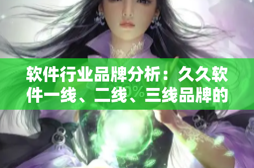 軟件行業(yè)品牌分析：久久軟件一線、二線、三線品牌的優(yōu)勢與劣勢