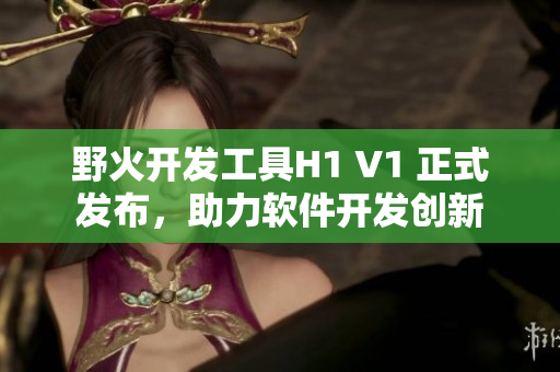 野火開發(fā)工具H1 V1 正式發(fā)布，助力軟件開發(fā)創(chuàng)新