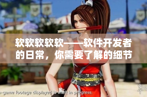 軟軟軟軟軟——軟件開發(fā)者的日常，你需要了解的細(xì)節(jié)！