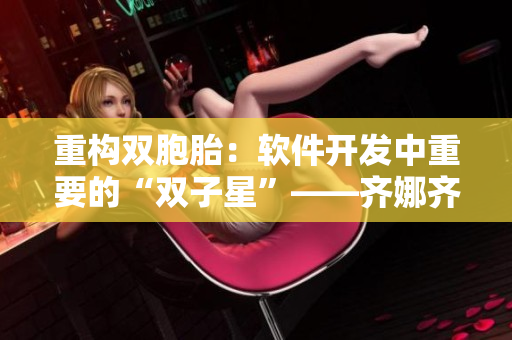 重構(gòu)雙胞胎：軟件開發(fā)中重要的“雙子星”——齊娜齊琳