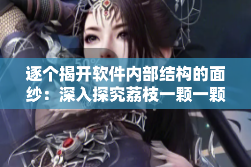 逐個(gè)揭開軟件內(nèi)部結(jié)構(gòu)的面紗：深入探究荔枝一顆一顆的實(shí)現(xiàn)原理