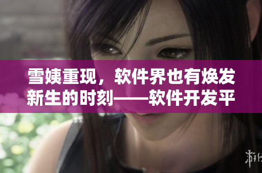 雪姨重現(xiàn)，軟件界也有煥發(fā)新生的時(shí)刻——軟件開發(fā)平臺(tái)探秘