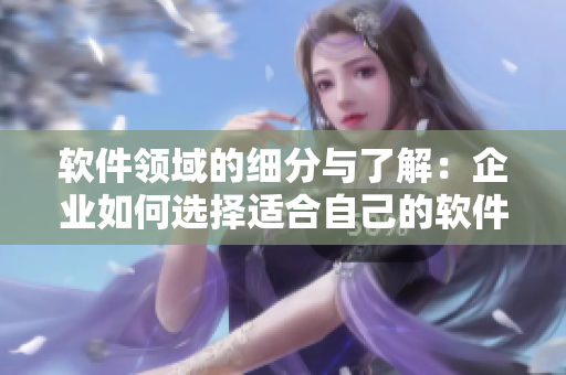 軟件領(lǐng)域的細(xì)分與了解：企業(yè)如何選擇適合自己的軟件？