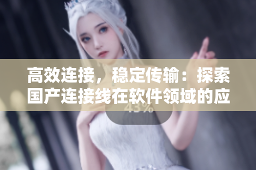 高效連接，穩(wěn)定傳輸：探索國(guó)產(chǎn)連接線在軟件領(lǐng)域的應(yīng)用前景