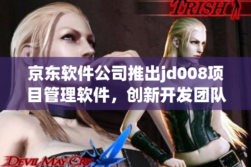 京東軟件公司推出jd008項目管理軟件，創(chuàng)新開發(fā)團隊協(xié)作方式