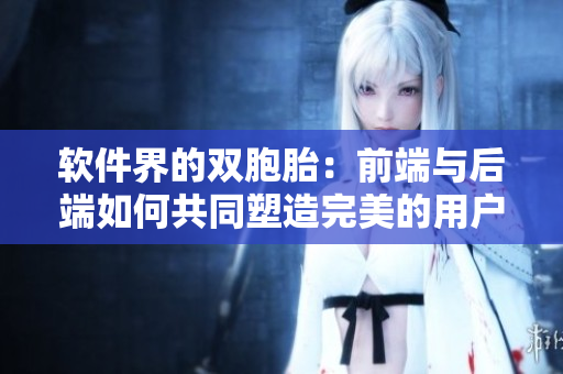 軟件界的雙胞胎：前端與后端如何共同塑造完美的用戶體驗(yàn)