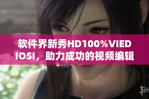 軟件界新秀HD100%VIEDIOSI，助力成功的視頻編輯和制作！