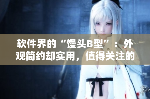 軟件界的“饅頭B型”：外觀簡約卻實用，值得關注的開源軟件