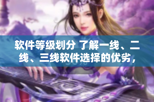 軟件等級劃分 了解一線、二線、三線軟件選擇的優(yōu)劣，并避免質(zhì)量風(fēng)險