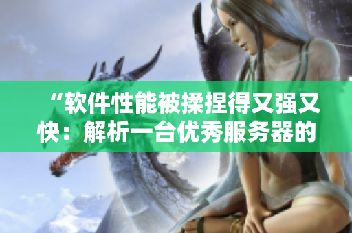 “軟件性能被揉捏得又強又快：解析一臺優(yōu)秀服務(wù)器的秘密”