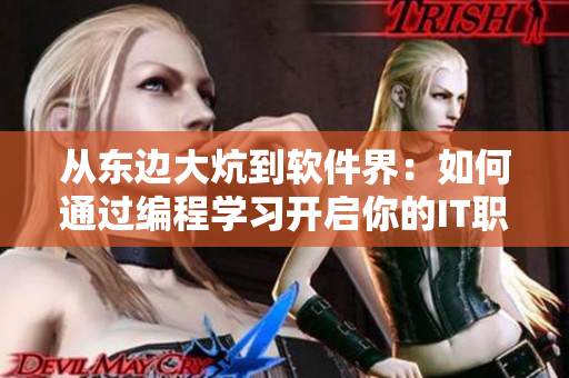 從東邊大炕到軟件界：如何通過編程學(xué)習(xí)開啟你的IT職業(yè)之路？